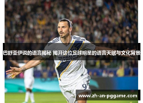 巴舒亚伊说的语言揭秘 揭开这位足球明星的语言天赋与文化背景