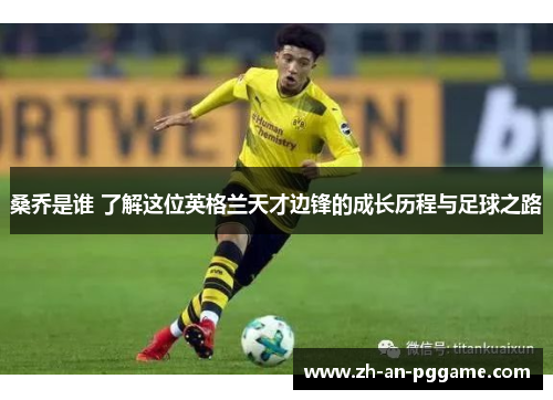 桑乔是谁 了解这位英格兰天才边锋的成长历程与足球之路 桑乔是谁 了解这位英格兰天才边锋的成长历程与足球之路